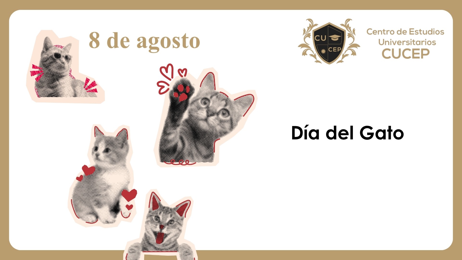 slideshow banner